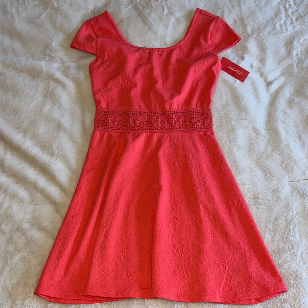 Elegant Coral Dress